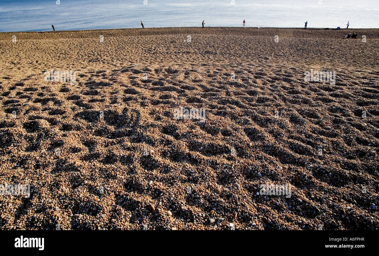 England Dorset Küste Chesil Beach Stockfoto