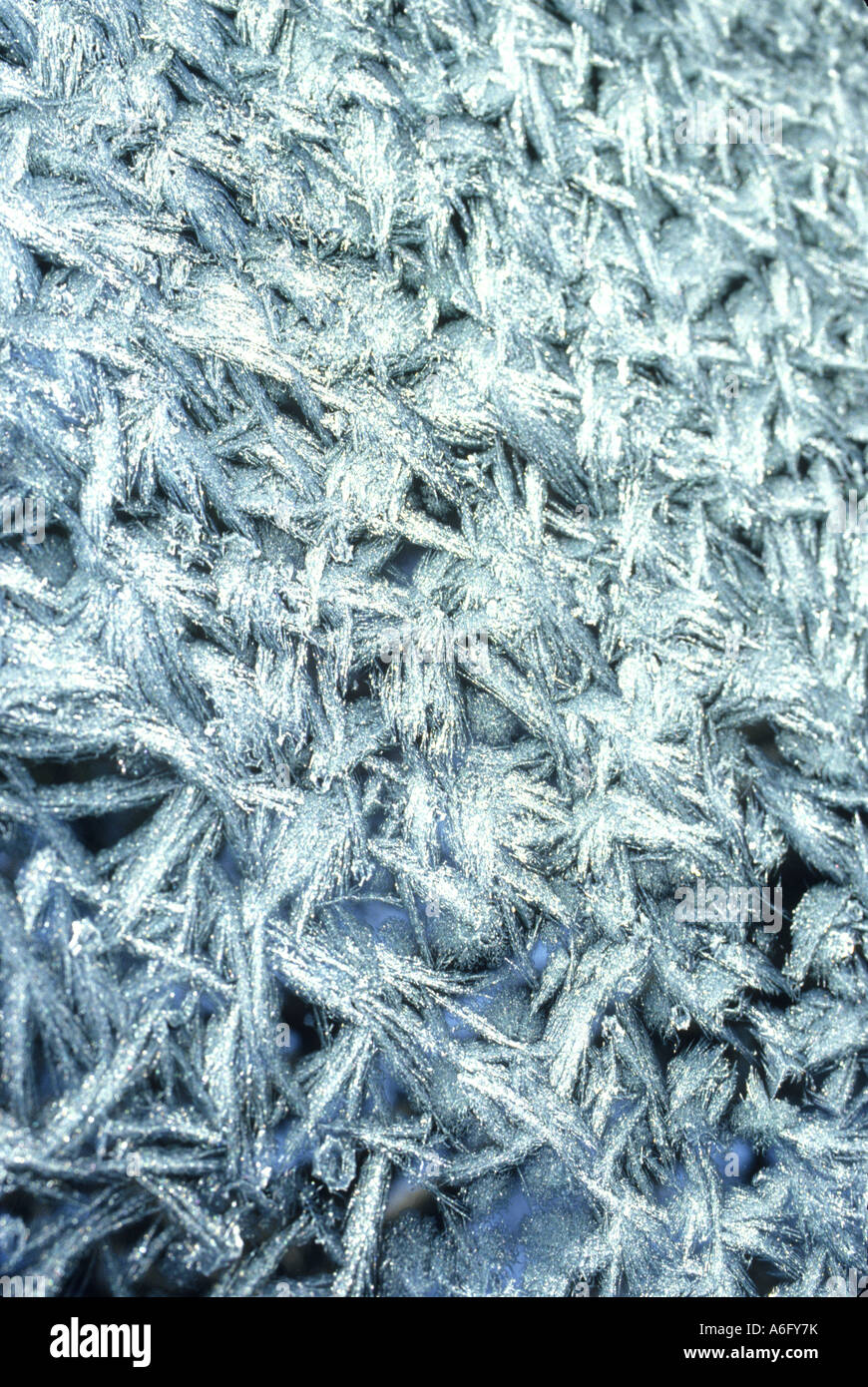 Frost auf Glas Stockfoto