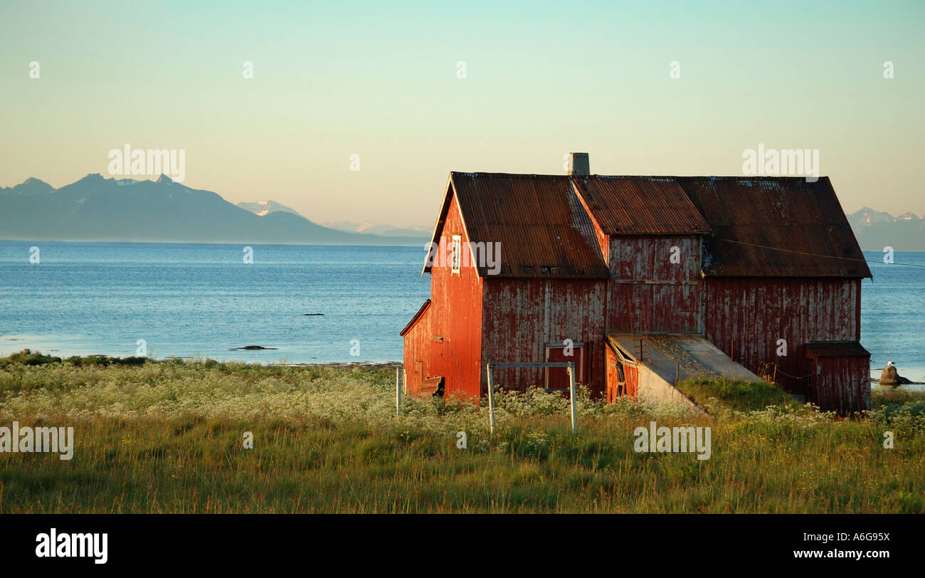 Rotes Haus am Meer, Blick auf die Insel Senja, Andøya, Norwegen Stockfoto