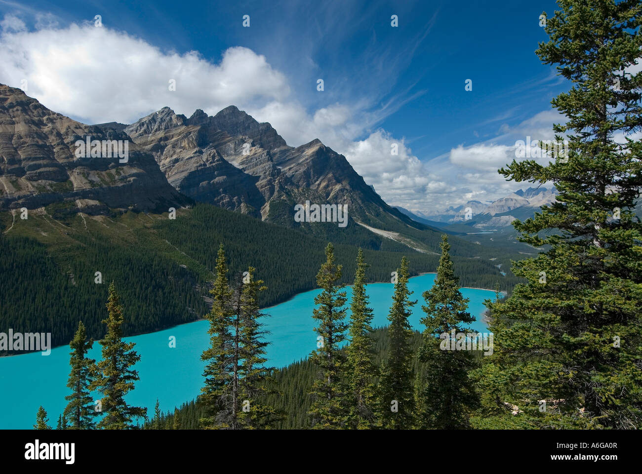 Blick auf die bewaldeten Ufer des Peyto Lake und Bow Valley mit Mount Patterson im Hintergrund, werden Berge, Banff Nati Stockfoto