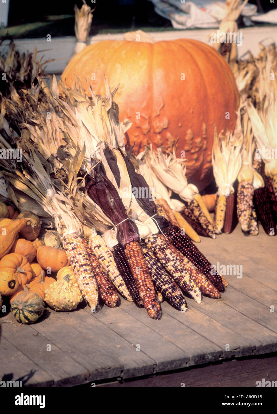 Herbst und Indian Corn and Pumpkins zum Verkauf durch Amish Landwirt und Familie auf der Seite der Straße Stockfoto