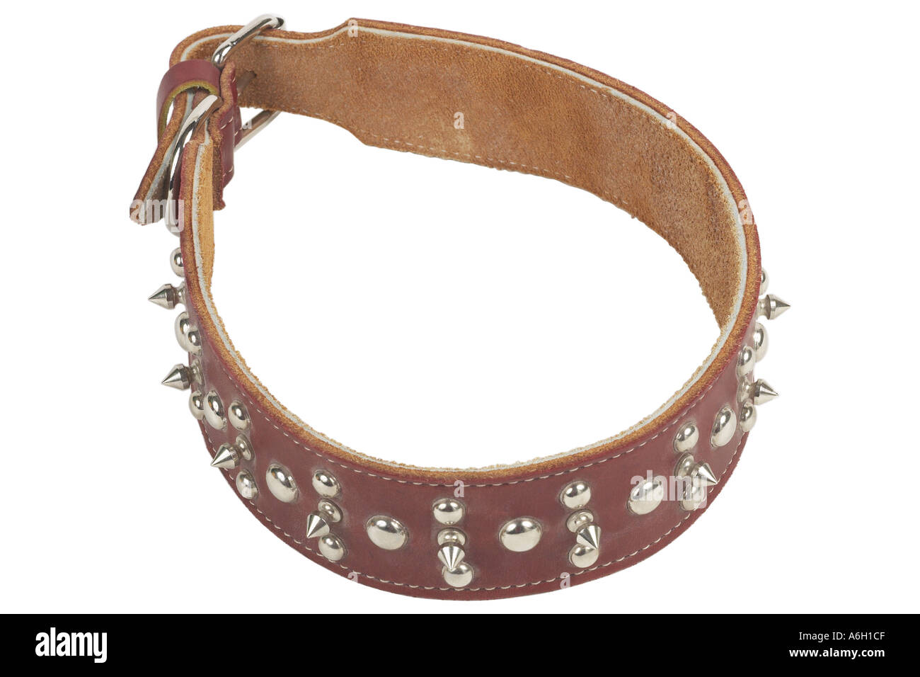 Braun Leder Hundehalsband Uid 1197028 Stockfoto