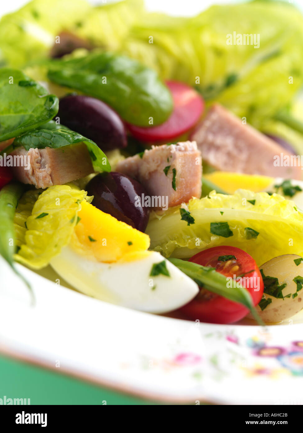 Salat Nicoise Stockfoto