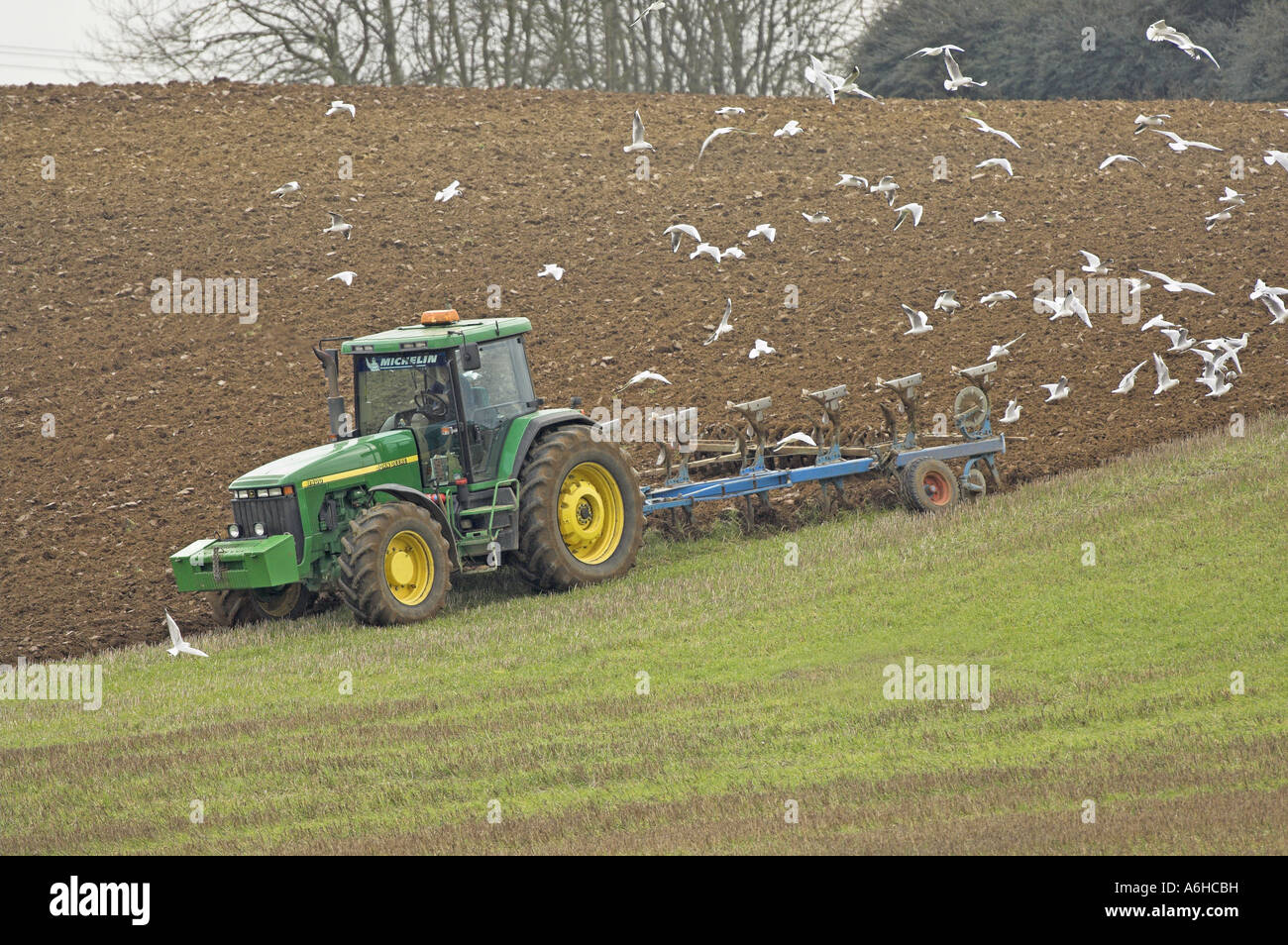 Traktor Pflug und Möwen im Frühling Norfolk UK Stockfoto