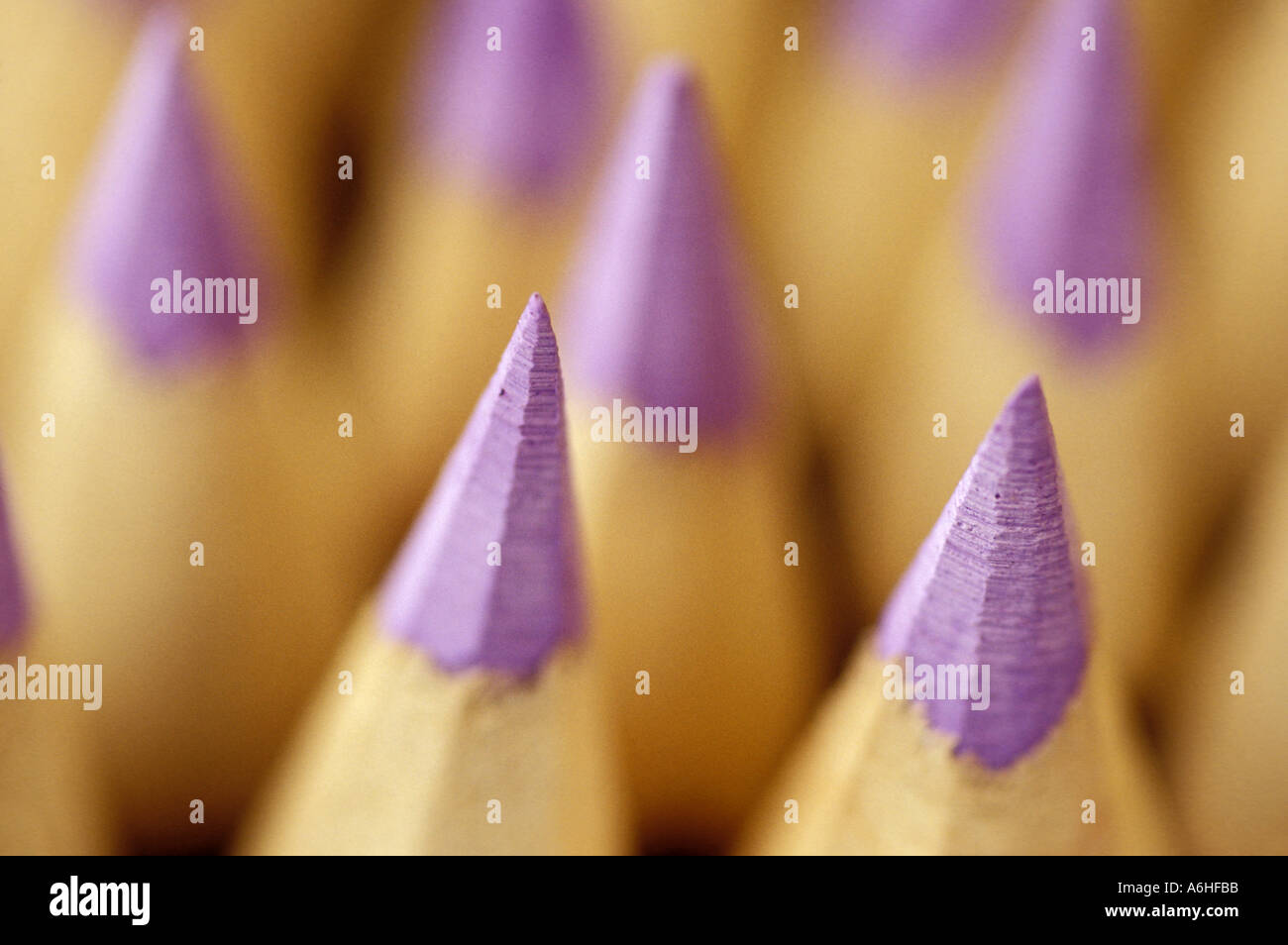 Violette Bleistift Spitzen Stockfoto