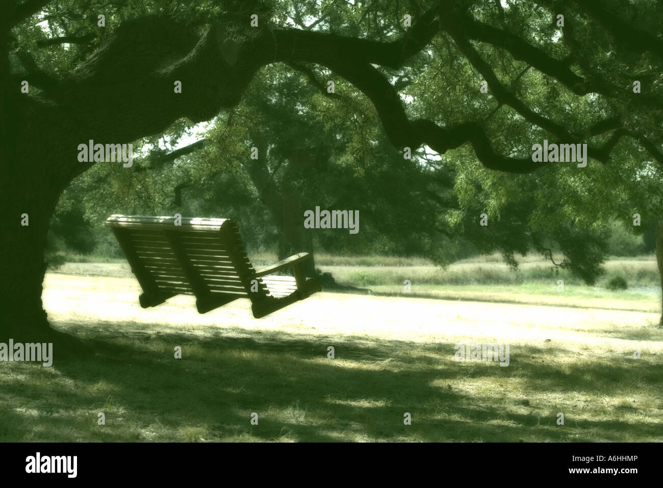 Bank-Schaukel unter der großen Eiche grüne monochrome Spezialeffekt Stockfoto