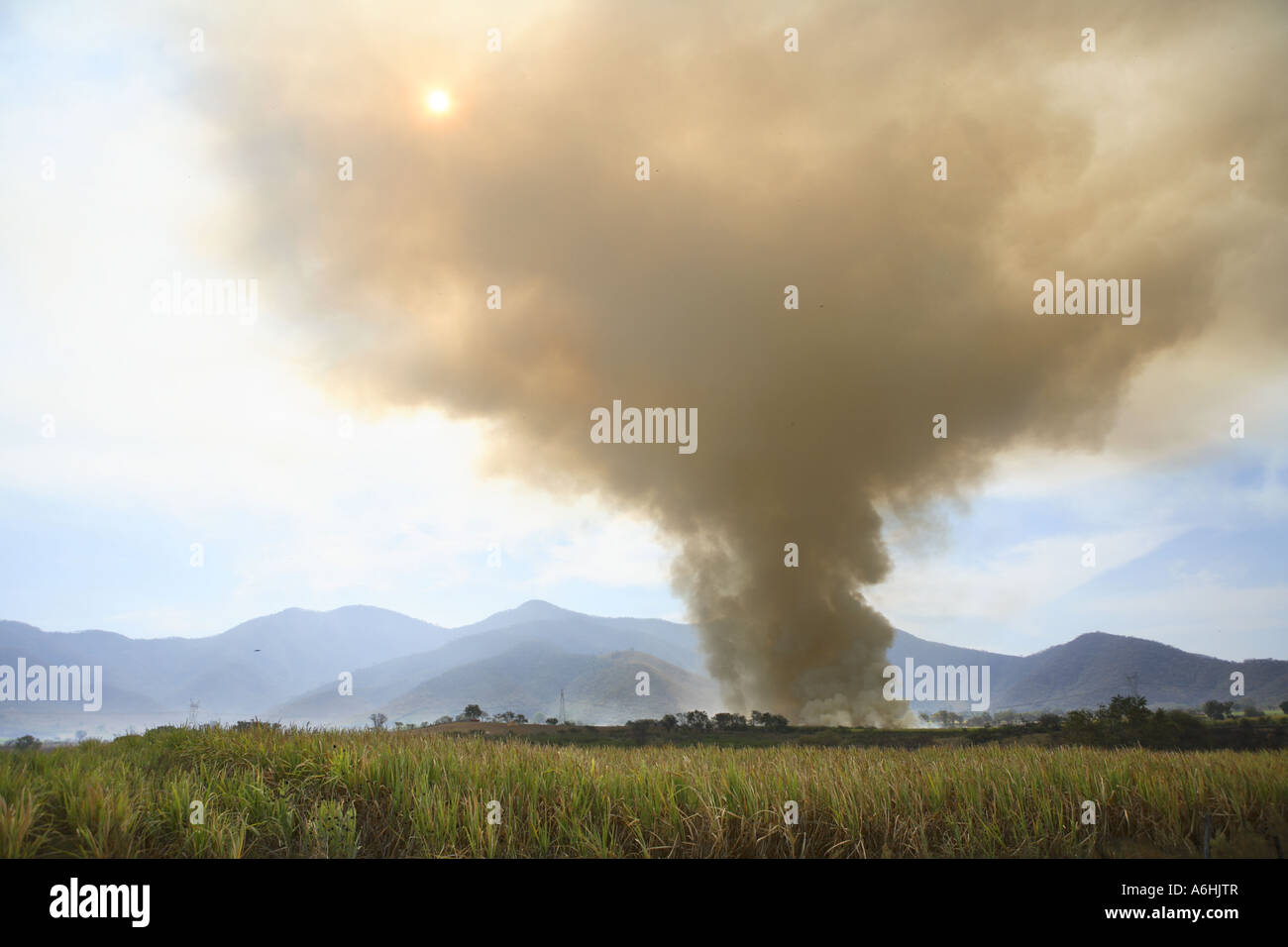 Rauch aus der Verbrennung von Zuckerrohr Feld Colima, Mexiko Stockfoto