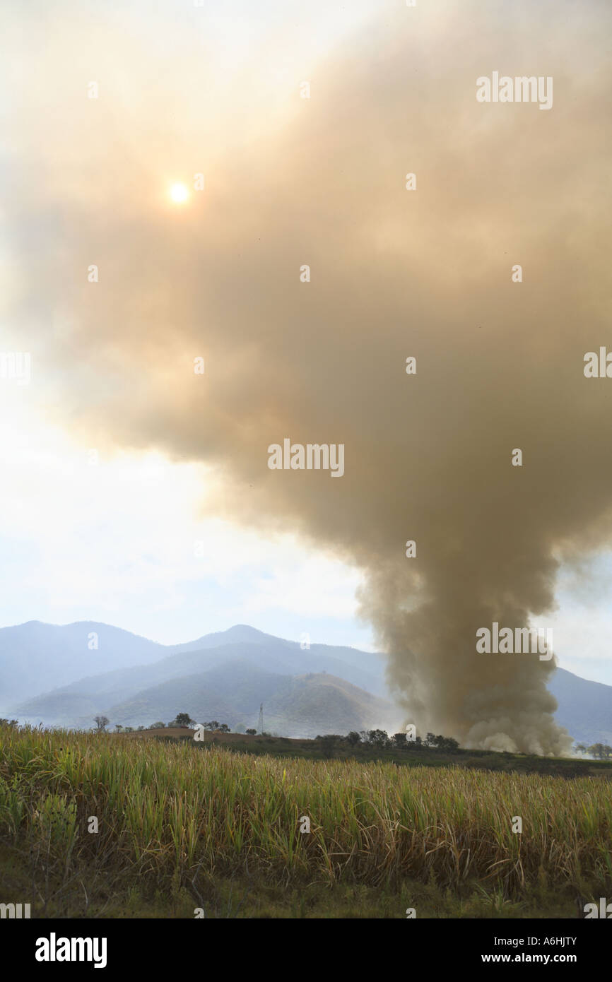 Rauch aus der Verbrennung von Zuckerrohr Feld Colima, Mexiko Stockfoto