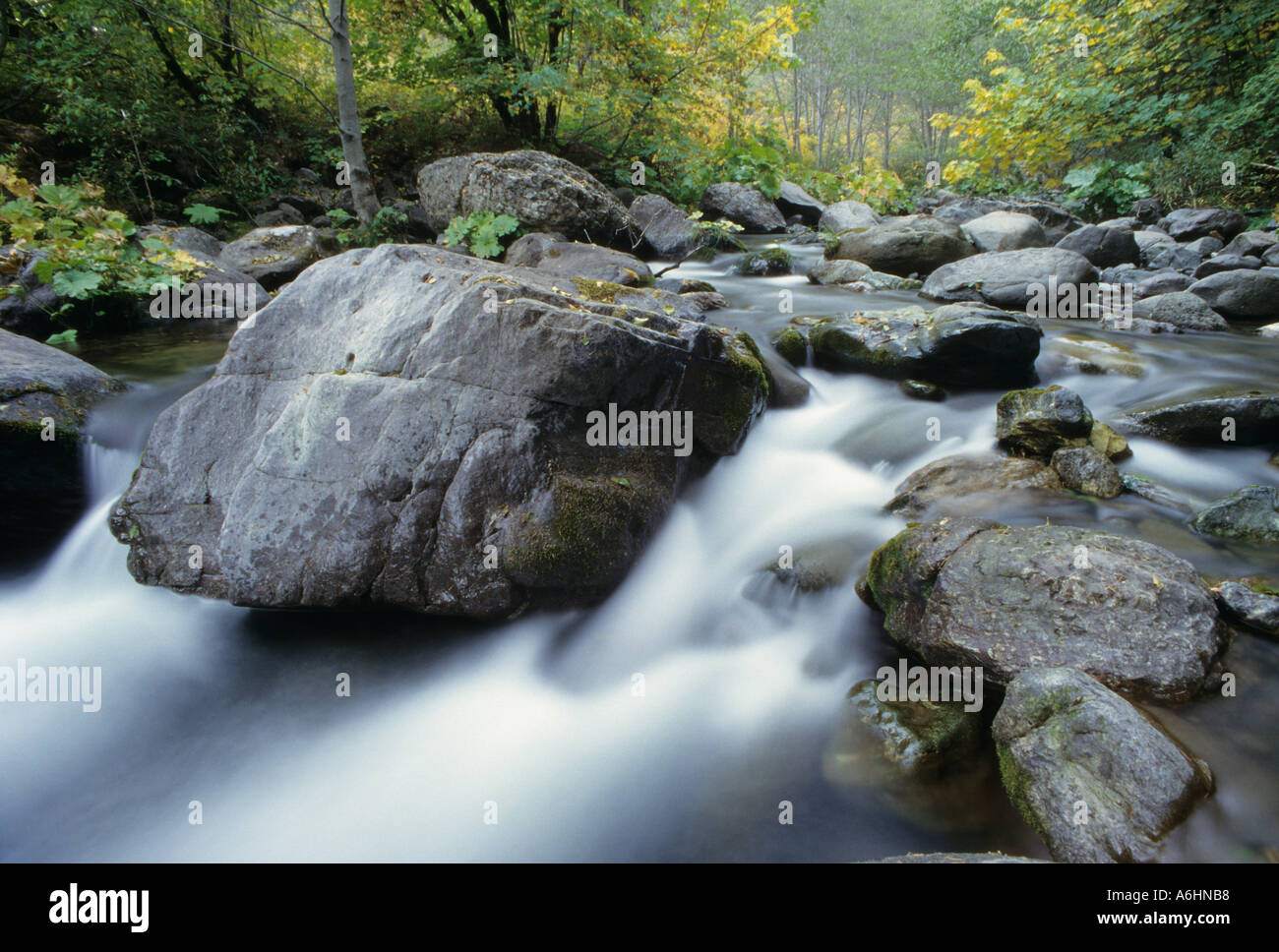 Herbstfarben auf Hawkins Creek, einem Nebenfluss der McCloud River über Lake Shasta, Kalifornien, USA Stockfoto