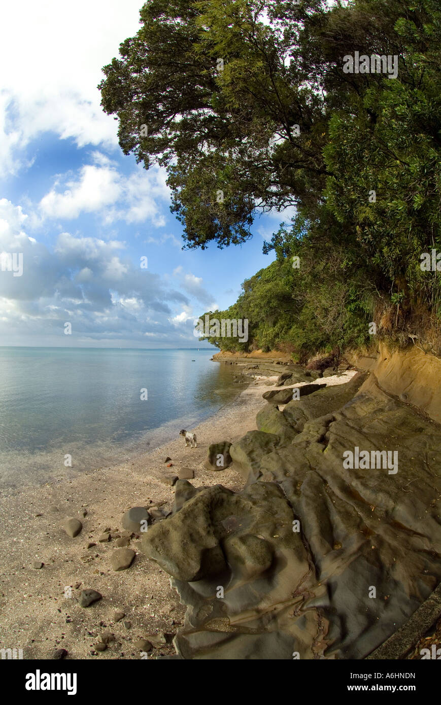 In Richtung Shag Point in Französisch Schach Stockfoto