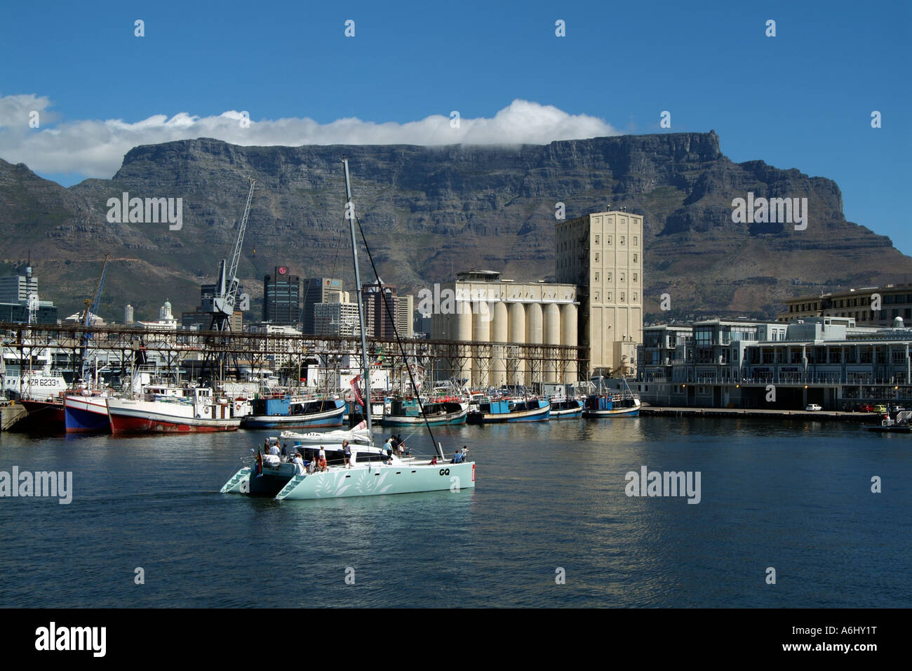 Waterfront von Kapstadt und Table Mountain Südhafen Afrika RSA und Hafen Katamaran Stockfoto