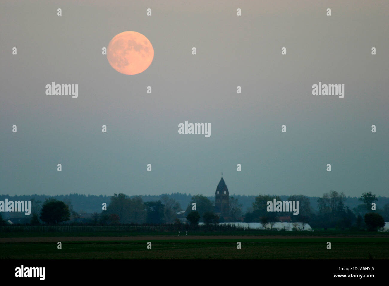 Abendstimmung, Rheinbach-Bereich in der Nähe von Köln, Nordrhein-Westfalen Stockfoto