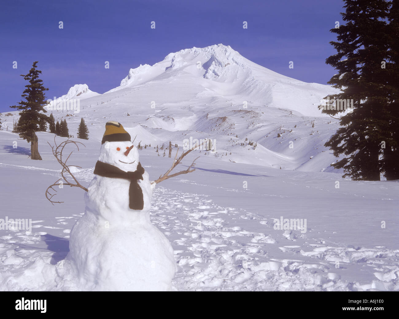 Schneemann am Mount Hood Stockfoto