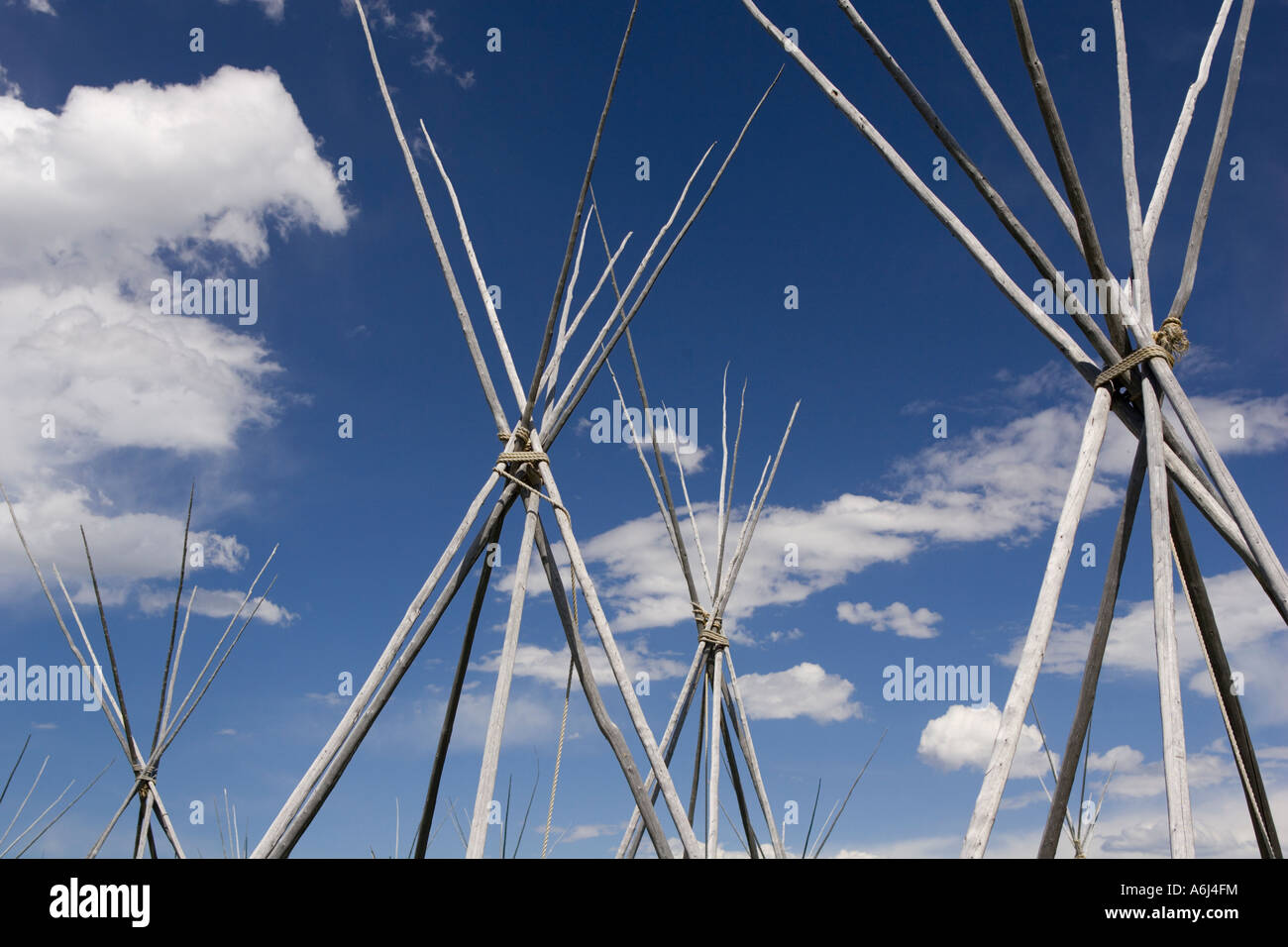 Nez Perce indische CP Tipi Stangen am Big Hole National Battlefield Stockfoto
