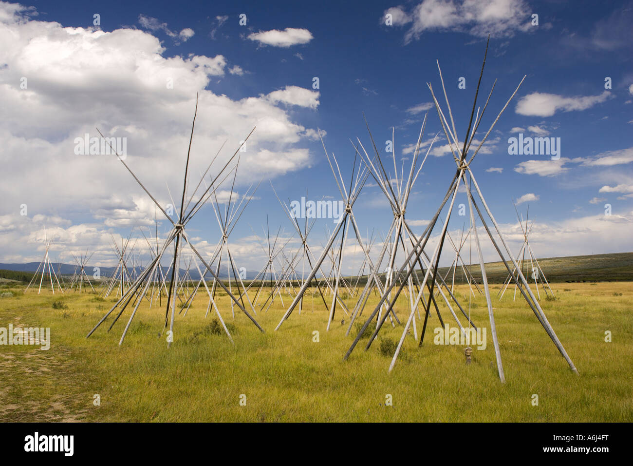 Nez Perce indische CP Tipi Pole an großen Loch National Battlefield die Schlacht von Big Hole 1877 verewigt Stockfoto