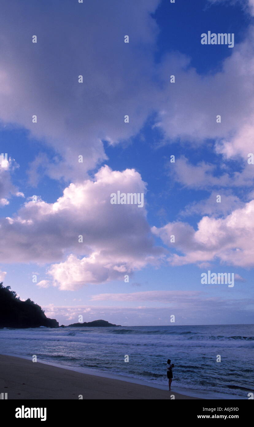 Stehend auf einem Strand Stockfoto