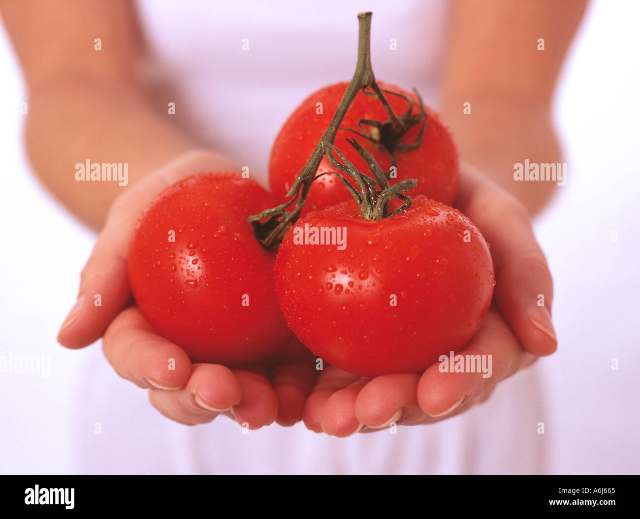 Frau mit Tomaten Stockfoto