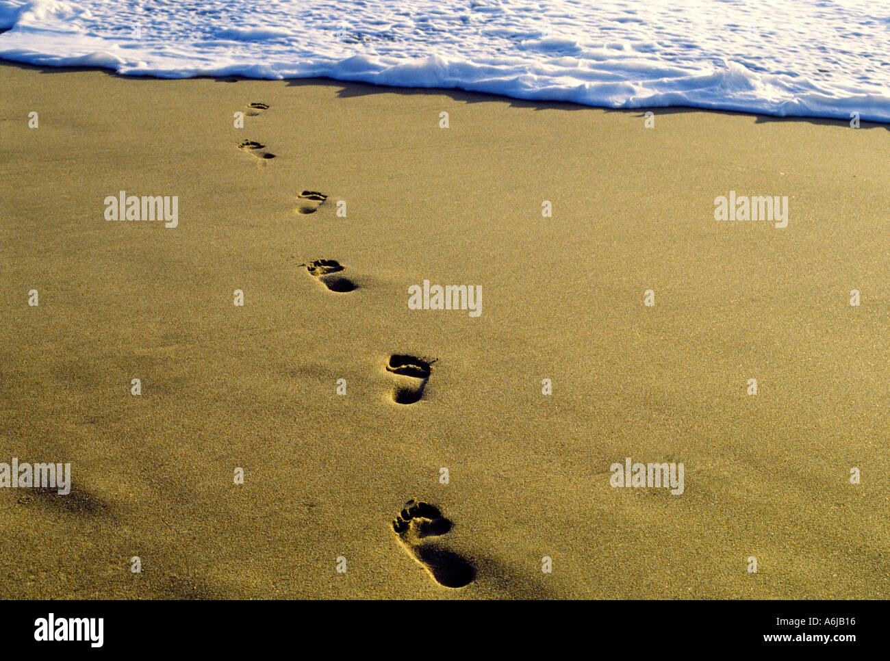 Spuren im weichen Sand ins Meer führt Stockfoto