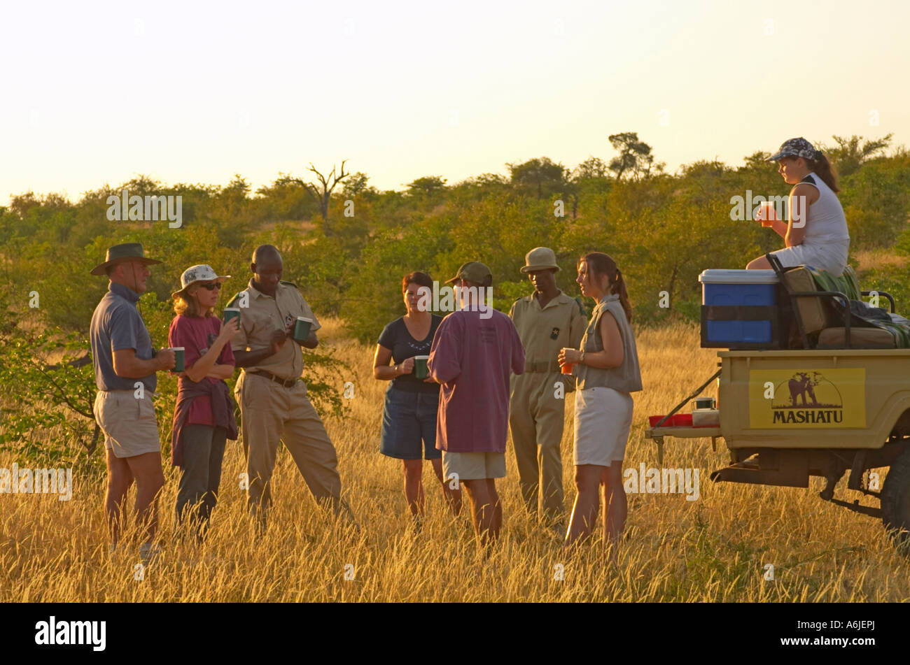 Gäste mit Kaffeepause während auf Pirschfahrt. Stockfoto