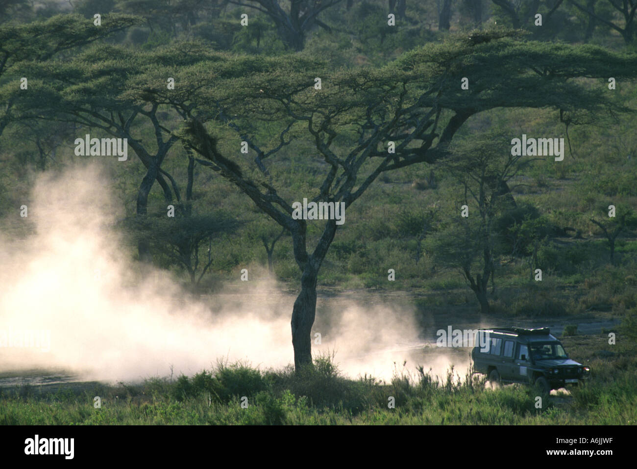 staubige Landrover fahren durch Kamel Dornen, gefolgt von einer Wolke aus Staub, Tansania Stockfoto