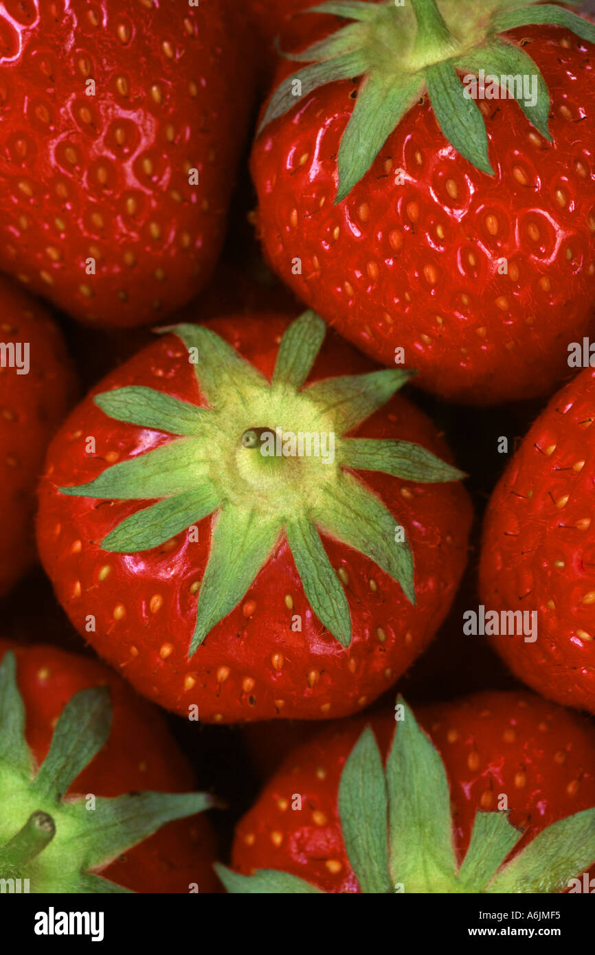 Erdbeeren in Nahaufnahme Stockfoto
