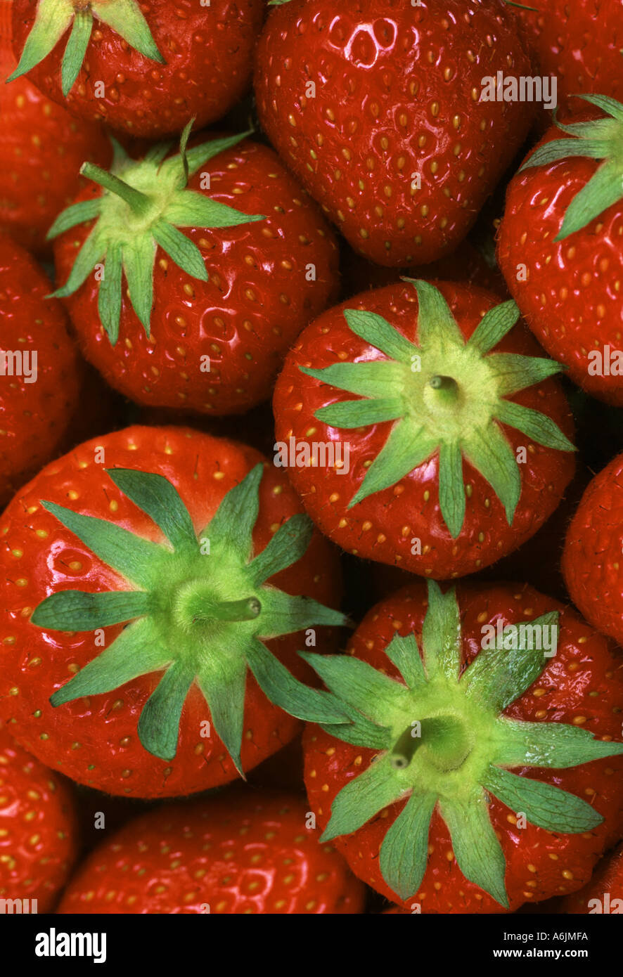 Erdbeeren in Nahaufnahme Stockfoto