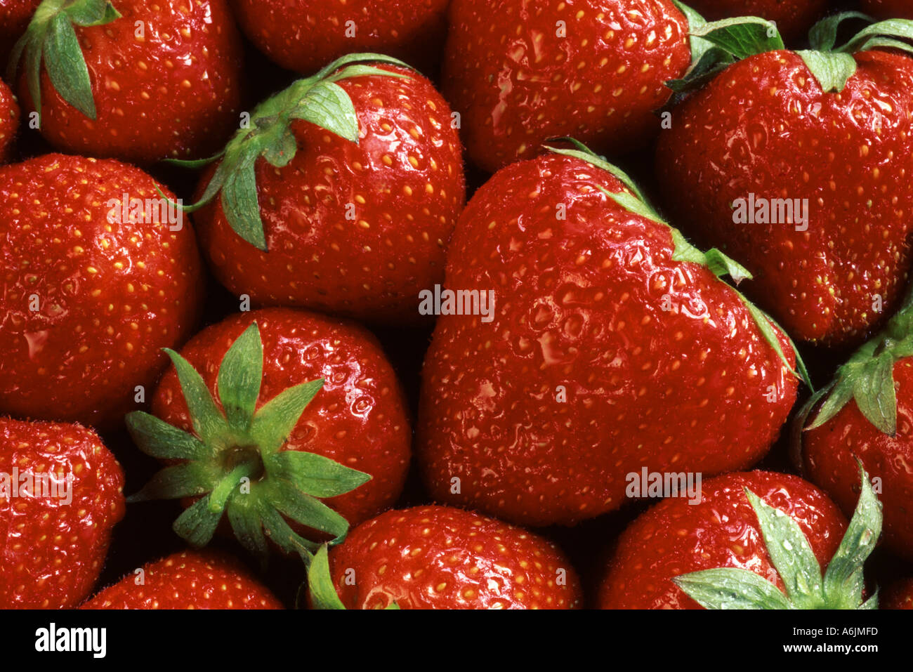 Frische Erdbeeren in Nahaufnahme Stockfoto
