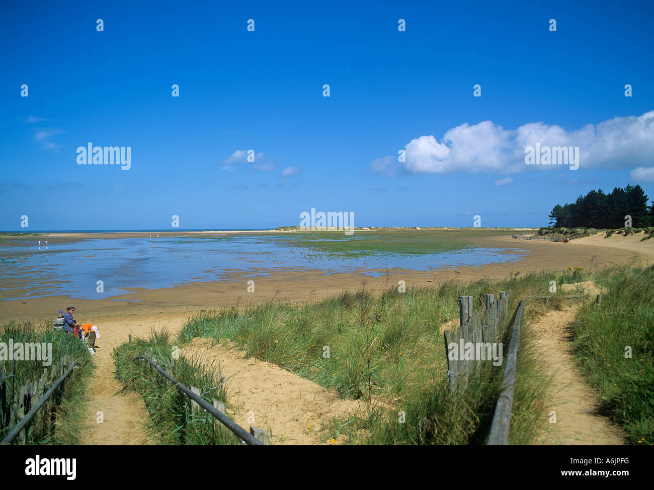 Holkham Beach-Norfolk Stockfoto