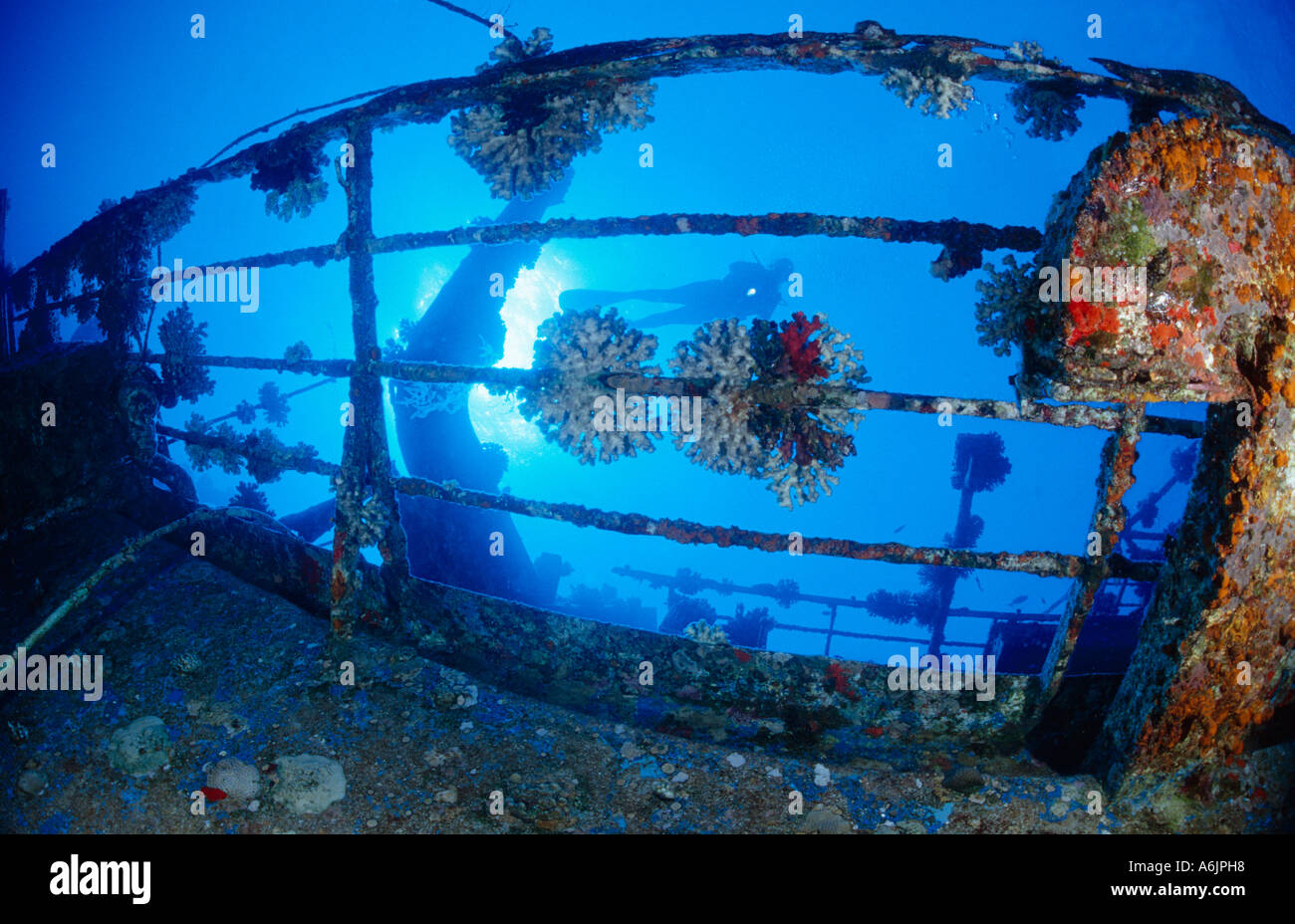 Taucher mit Schiffswrack "Salem Express" Stockfoto