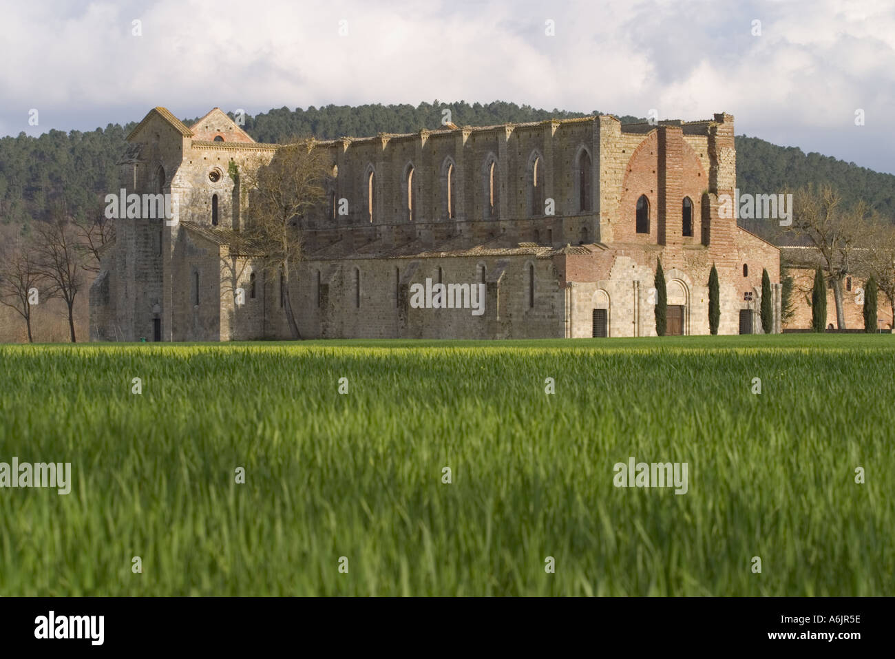 S Galgano Abtei Stockfoto