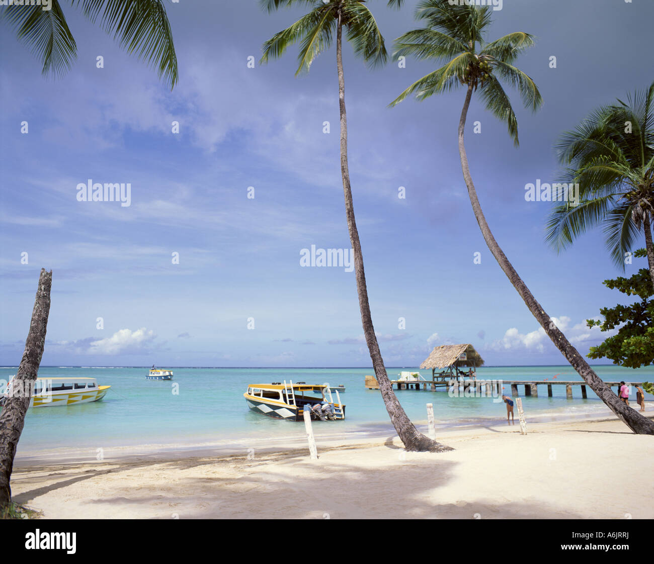 Tropischer Strand, Pigeon Point, Tobago, Trinidad & Tobago, kleine Antillen, Karibik Stockfoto