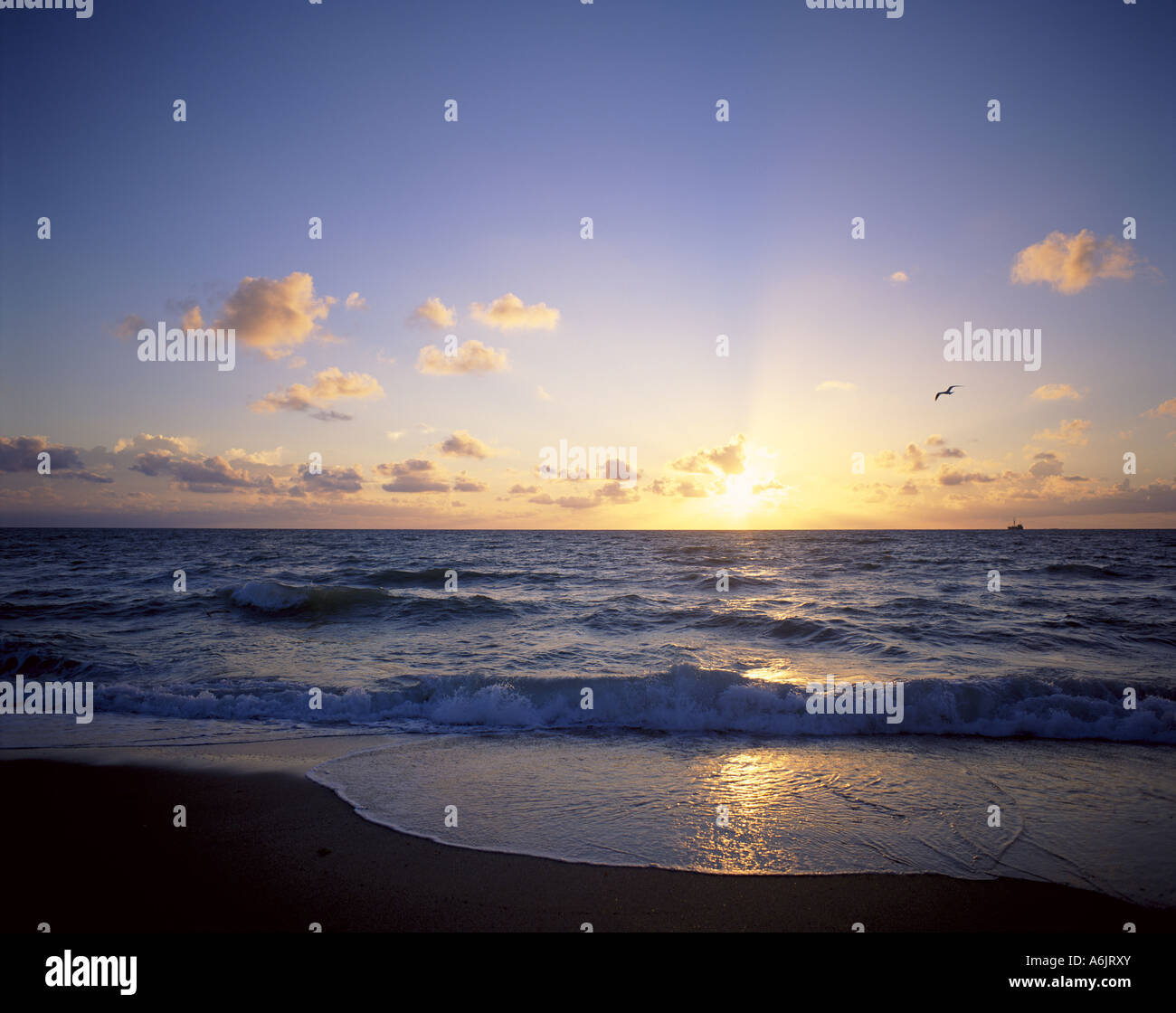 Strand bei Sonnenaufgang, Fort Lauderdale, Florida, Vereinigte Staaten von Amerika Stockfoto