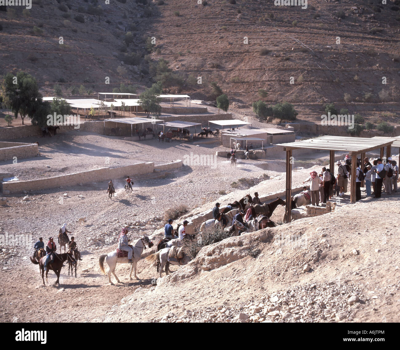 Touren auf dem Pferderücken, antiken Stadt Petra, Maan, Königreich von Jordanien Stockfoto