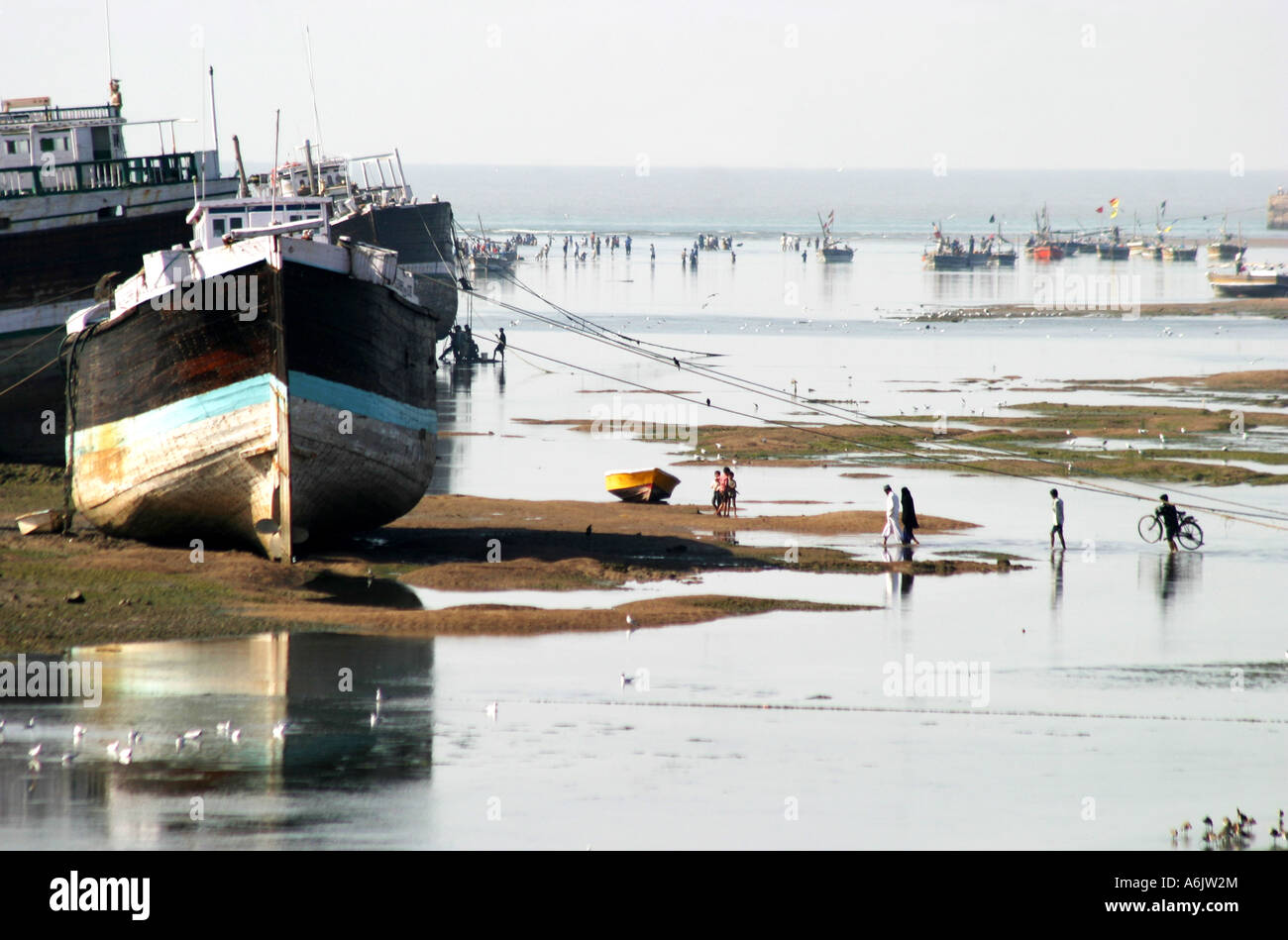 Fording der Mündung bei niedrigem Wasserstand Mandavi Hafen in Gujarat in Indien Stockfoto