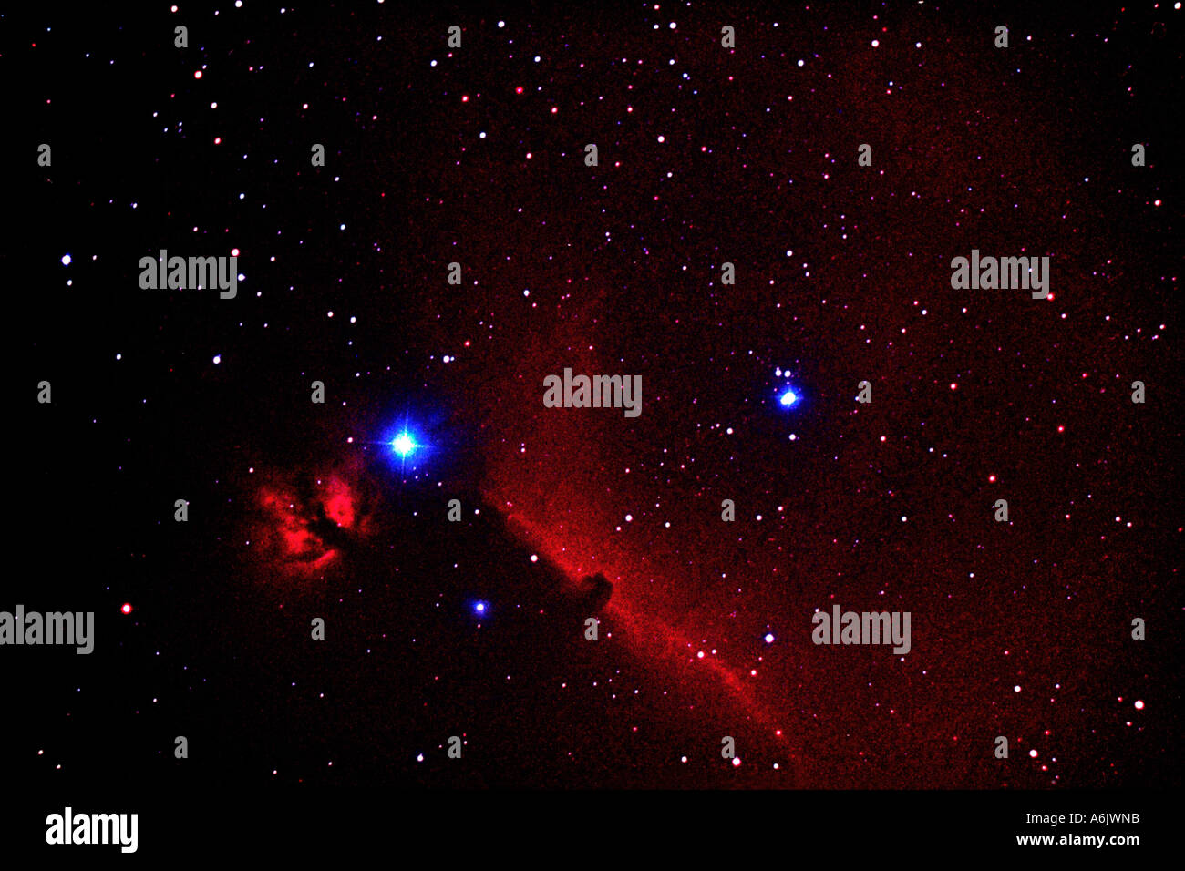 Dark Nebula Barnard 33, Pferdekopfnebel B 33 in Orion, Deutschland, Baden-Württemberg Stockfoto