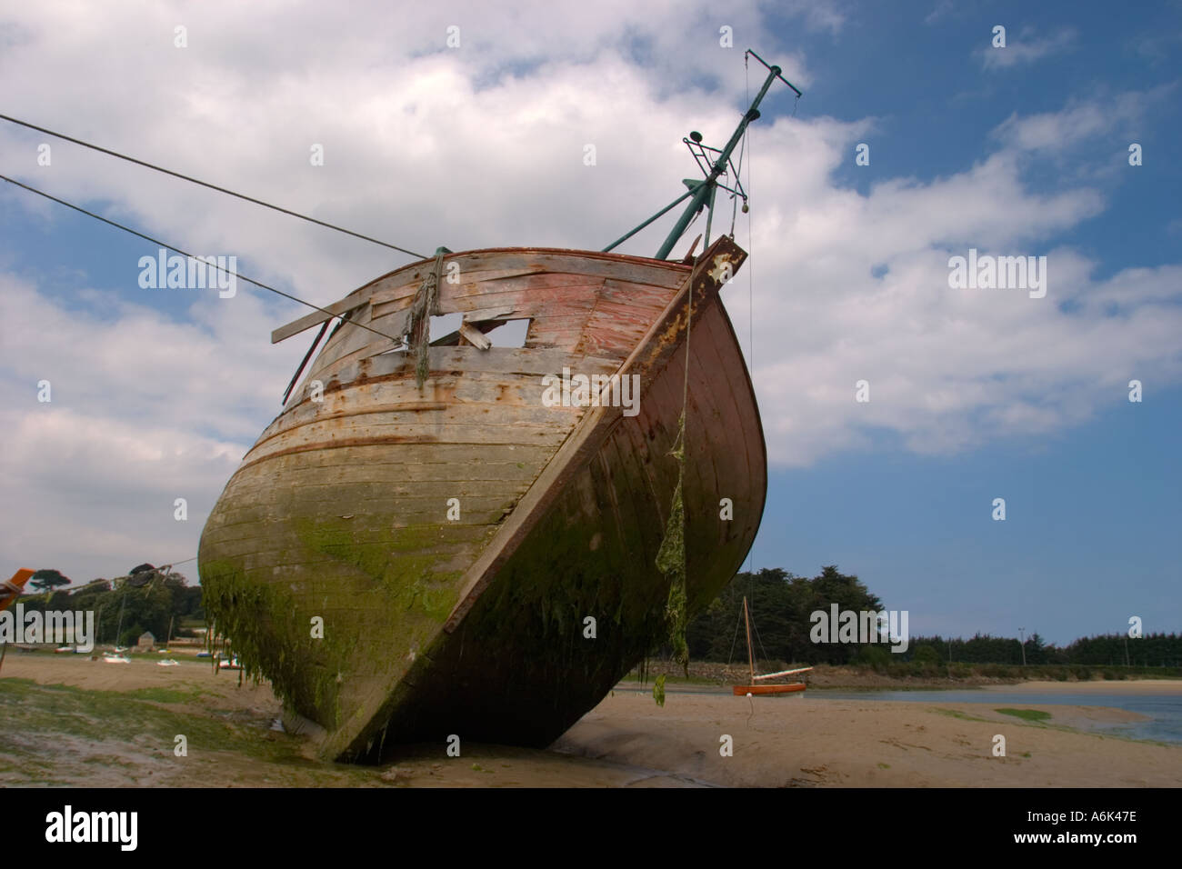 Verfallenes Holzboot am Strand mit Algenwachstum, Biofouling auf dem Rumpf bei Ebbe in der bretagne frankreich eu Stockfoto