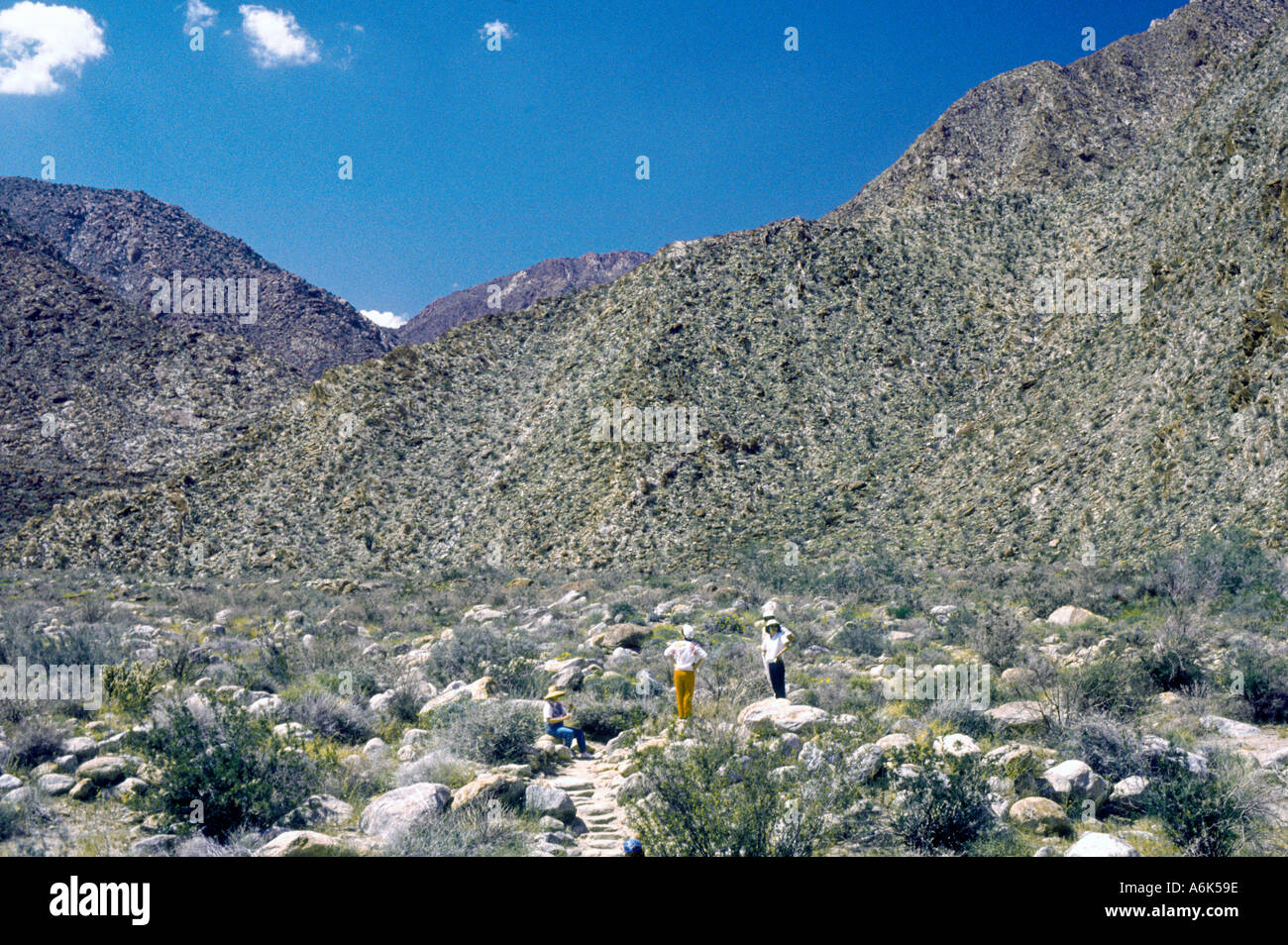 "Borrego Springs" California USA "San Diego" Bereich wandern in "Wüstenlandschaft" "Velleciro Berge" Stockfoto