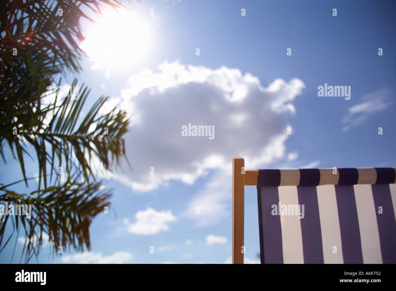 Liegestuhl und Palme unter dem blauen Himmel Stockfoto