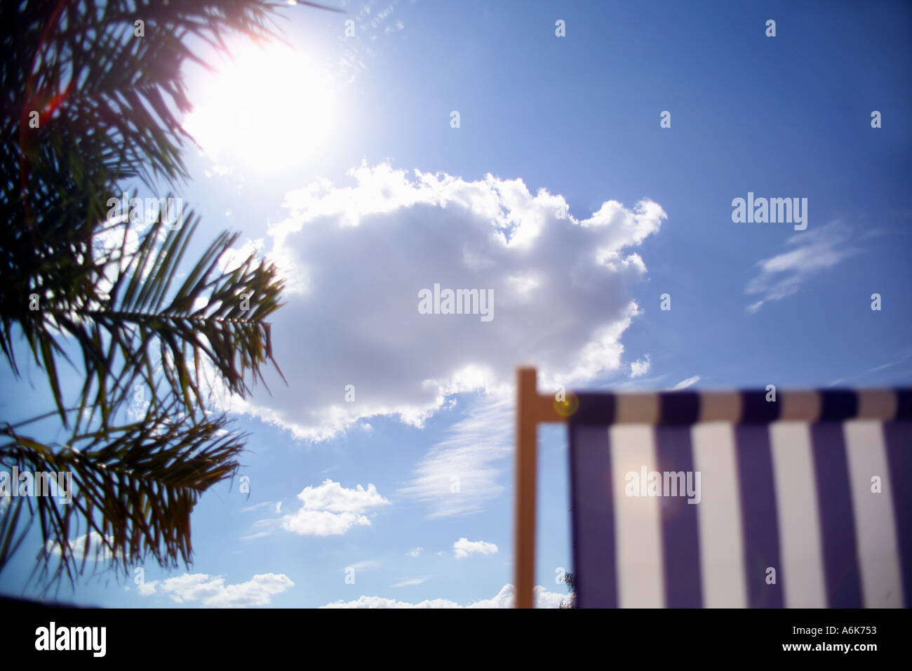 Liegestuhl und Palme unter dem blauen Himmel Stockfoto