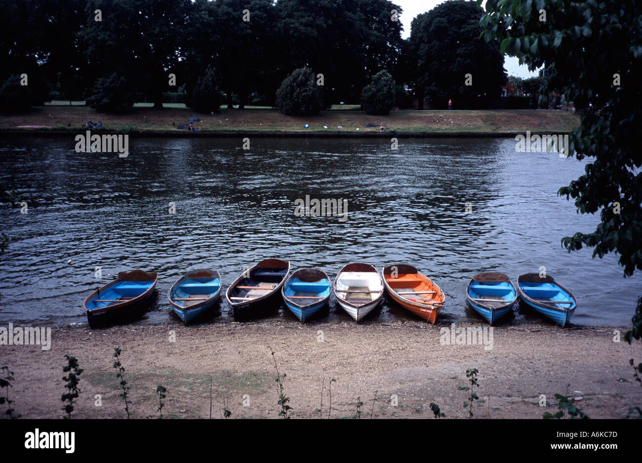 Linie von Ruderbooten vertäut am Ufer der Themse bei Ebbe Hampton, Middlesex England UK Stockfoto