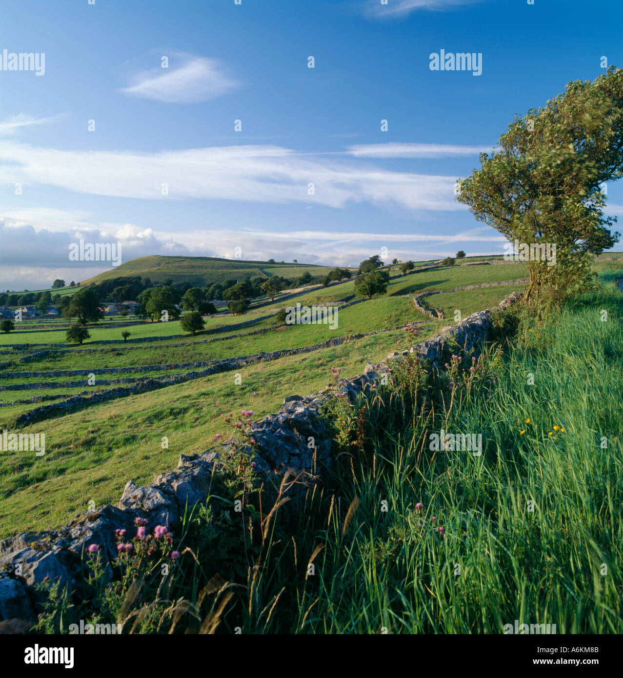 Chelmorton Peak Nationalpark Derbyshire UK Stockfoto