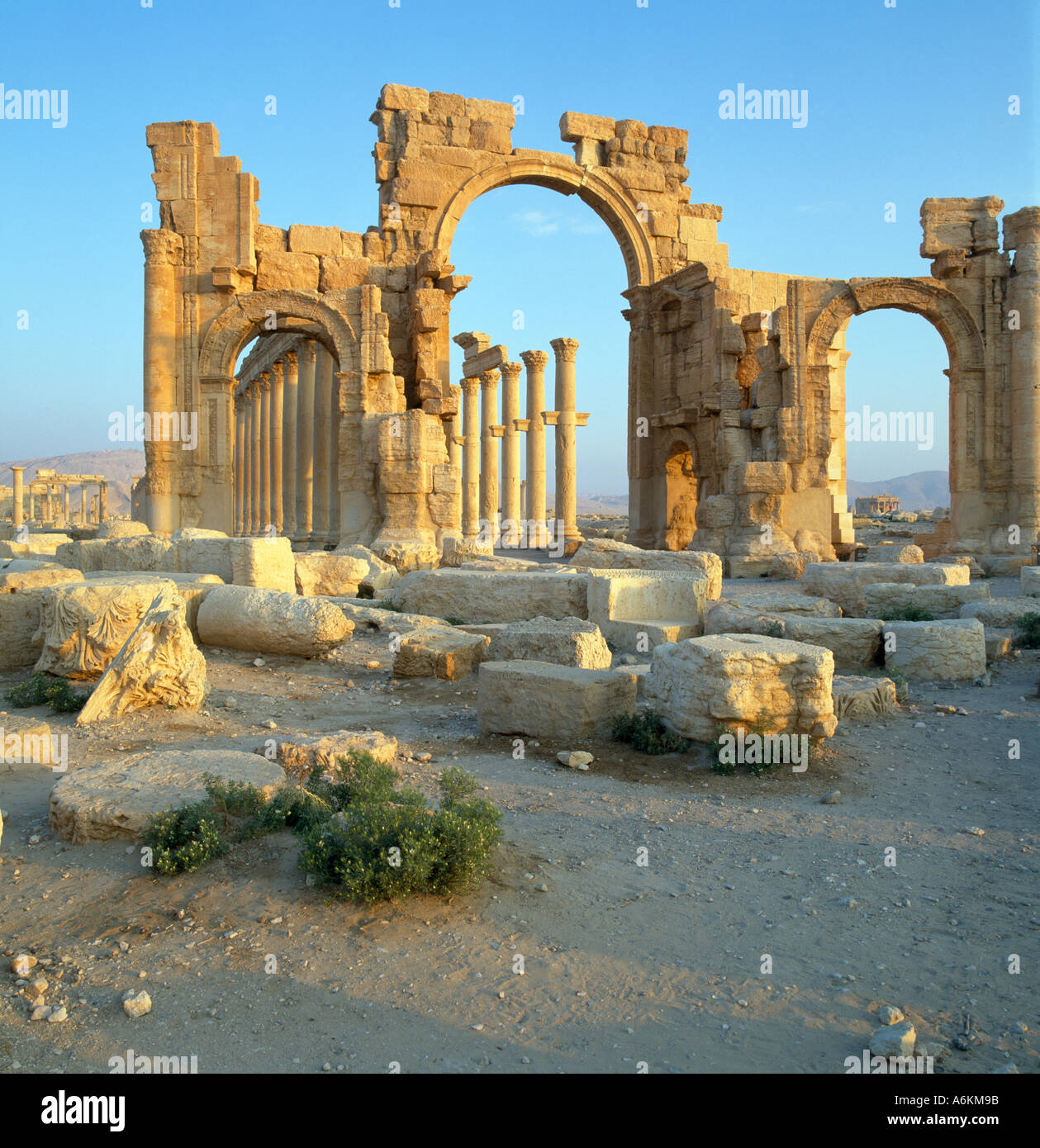 Römische Ruinen Palmyra Syrien Naher Osten Stockfoto