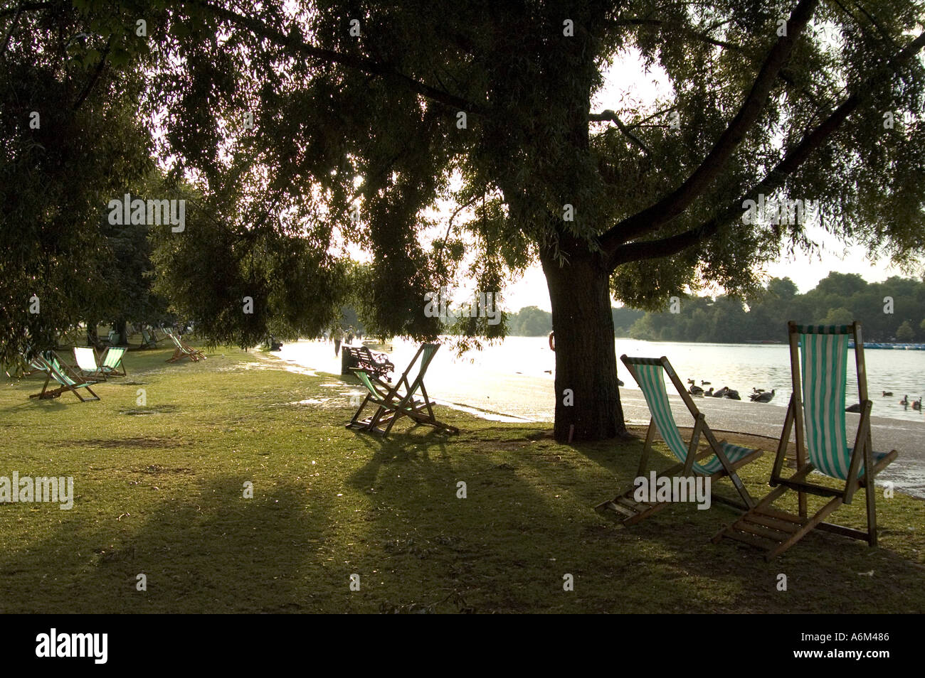 Durch Bäume und Liegestühlen nach Serpentine Hyde Park Knightsbridge London anzeigen Stockfoto