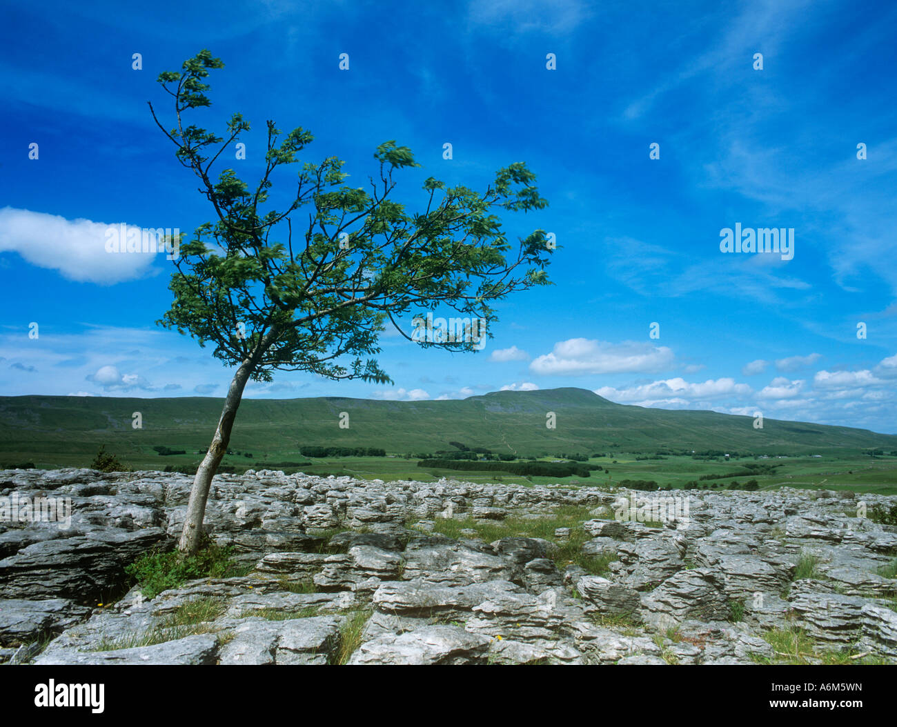 Südlichen Skalen Moor, Yorkshire Dales National Park UK Stockfoto