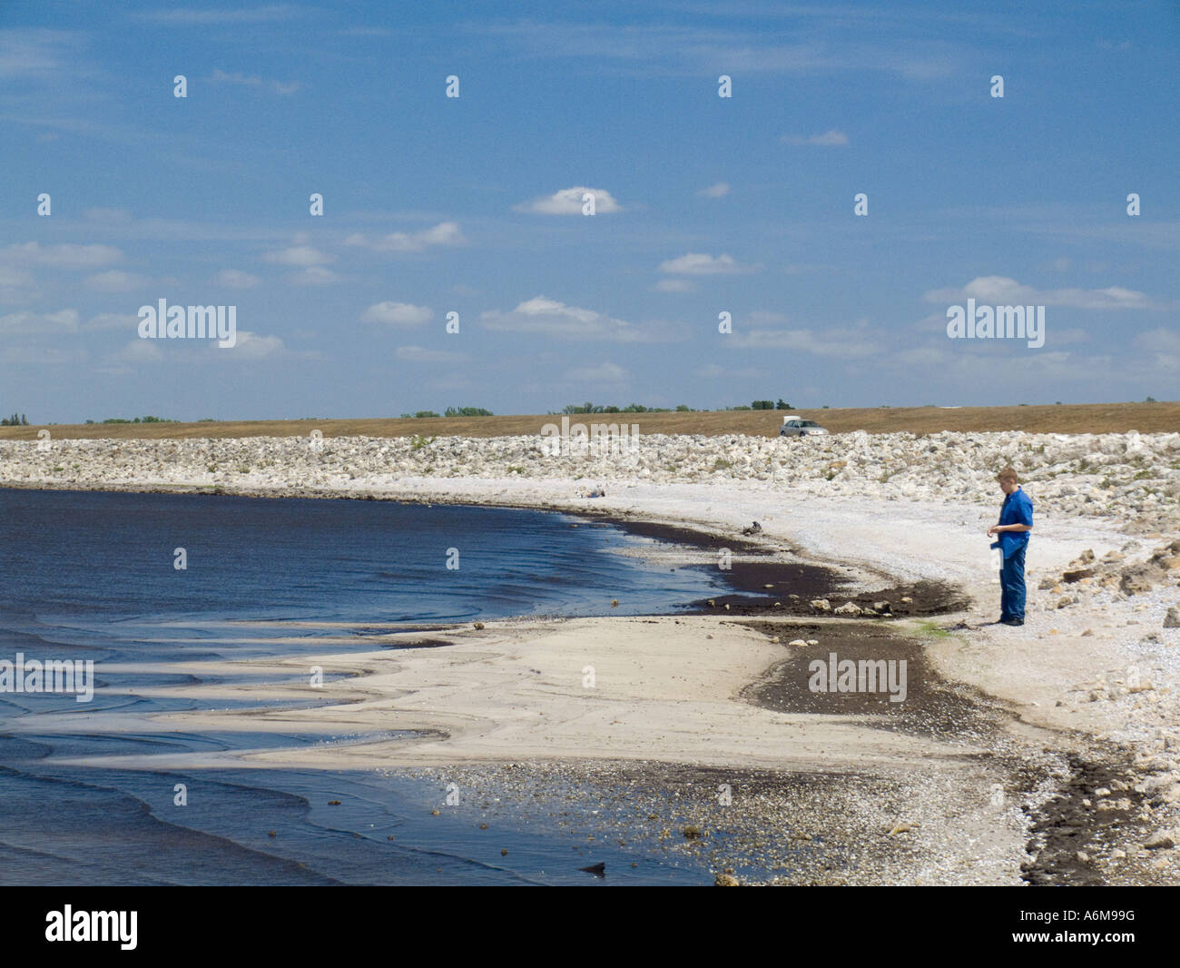 Lake Okeechobee niedrige Wasserstände Trockenheit ausgesetzt bank Hafen Mayaca 03 07 Stockfoto