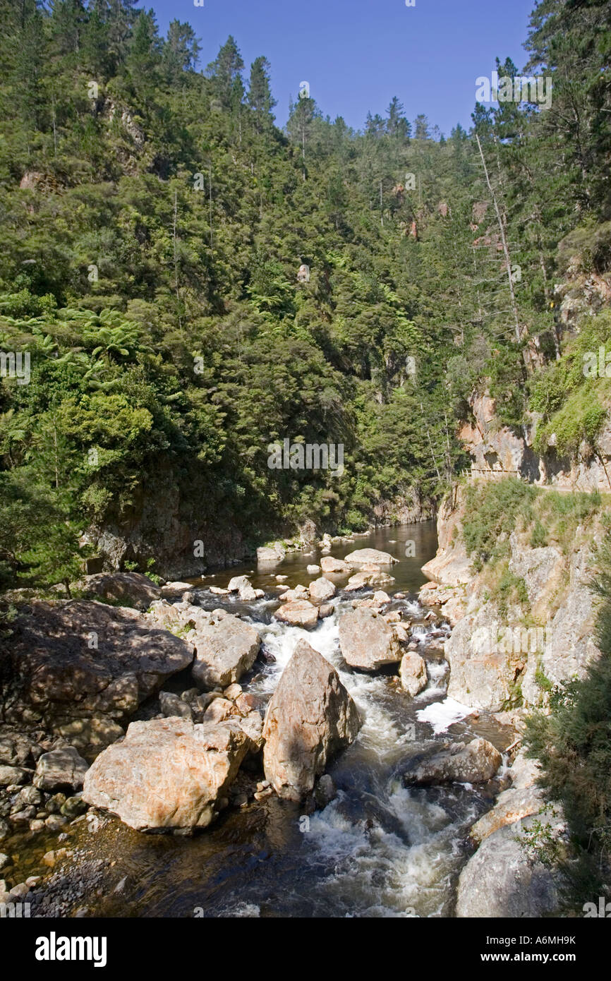 Ohinemuri Fluss und Gehweg Karangahake Gorge nahe Paeroa Neuseeland Stockfoto