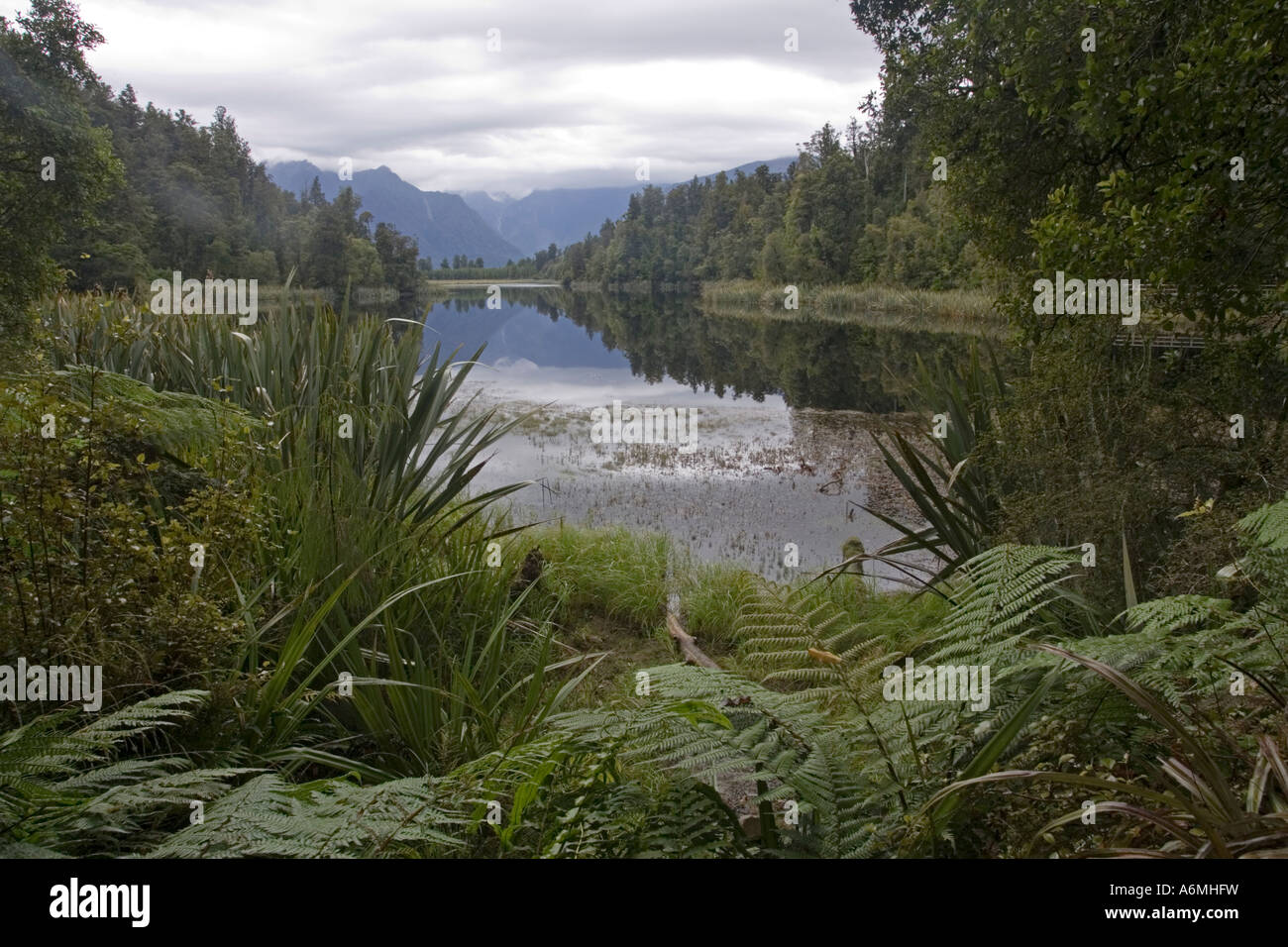 Diverse reichen Feuchtbiotop Lake Matheson South Westland New Zealand Stockfoto