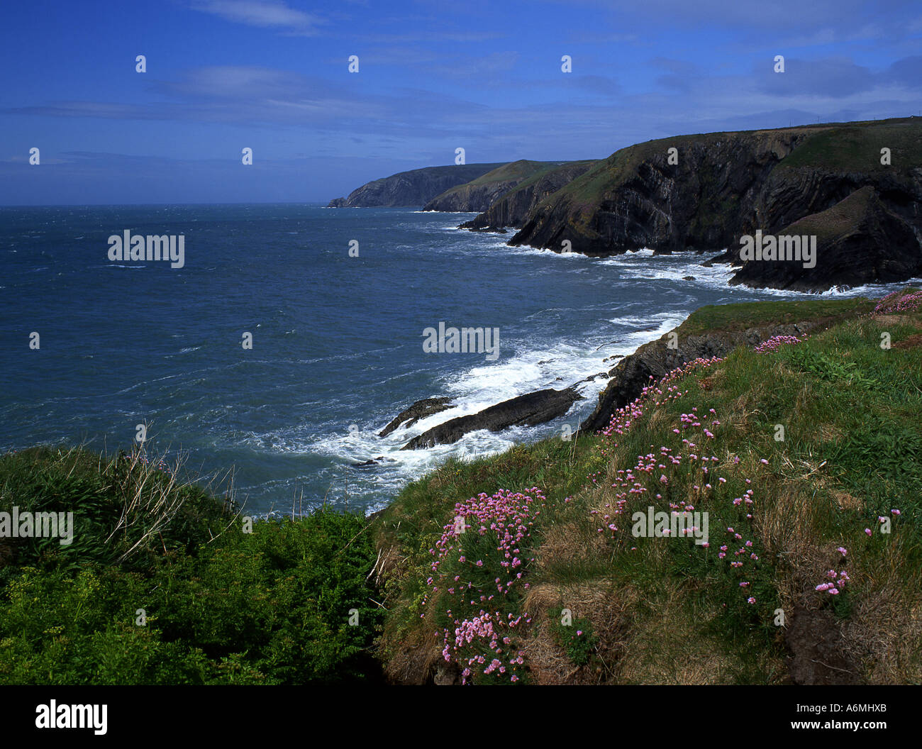 Ceibwr Bay in der Nähe von Moylegrove felsigen wilde Küstenlandschaft mit stürmischer See West Wales UK Stockfoto