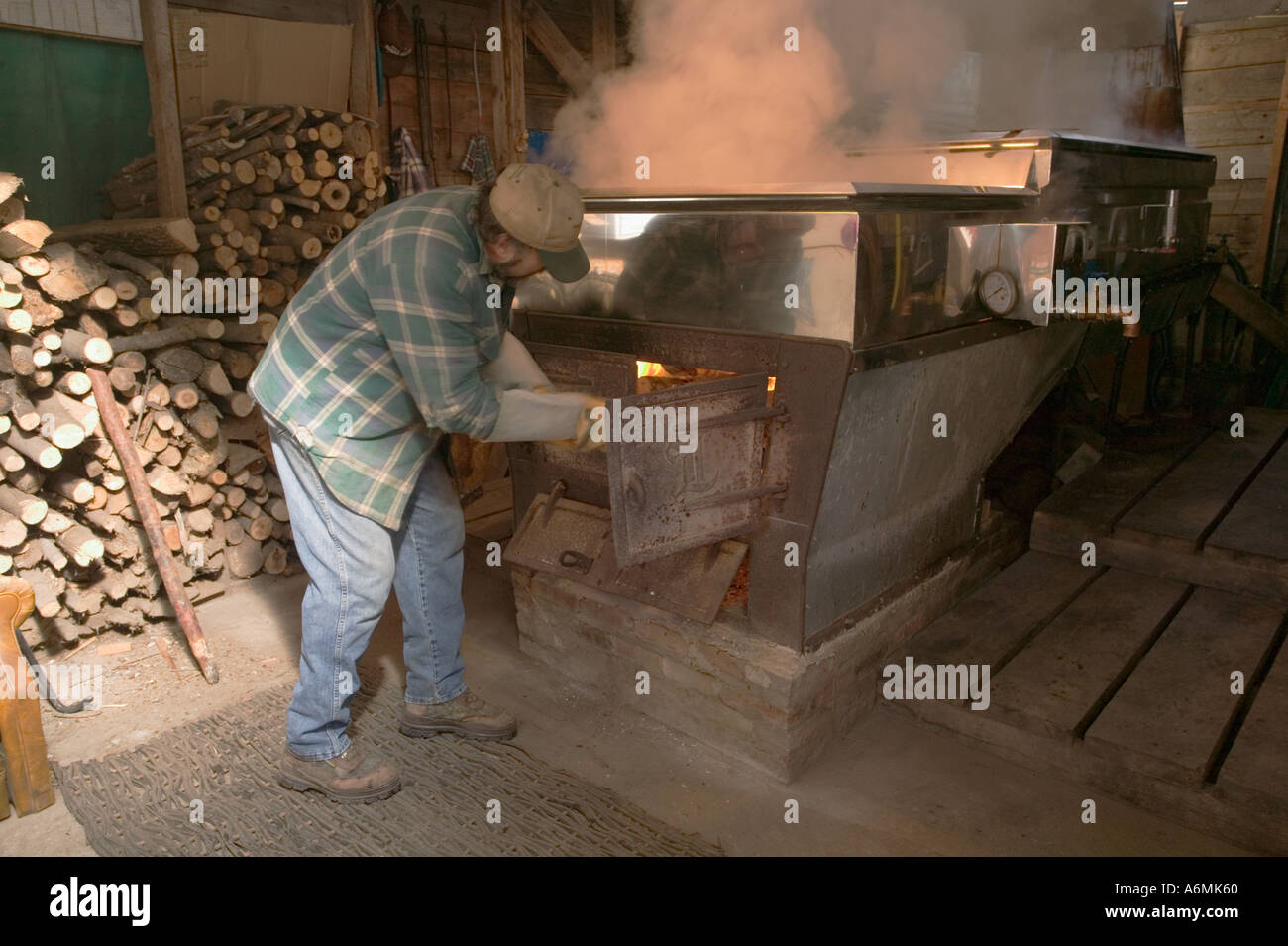 Mann Fütterung Feuer unter Verdampfer kochendem Ahornsirup aus Sap Adirondacks New York Stockfoto