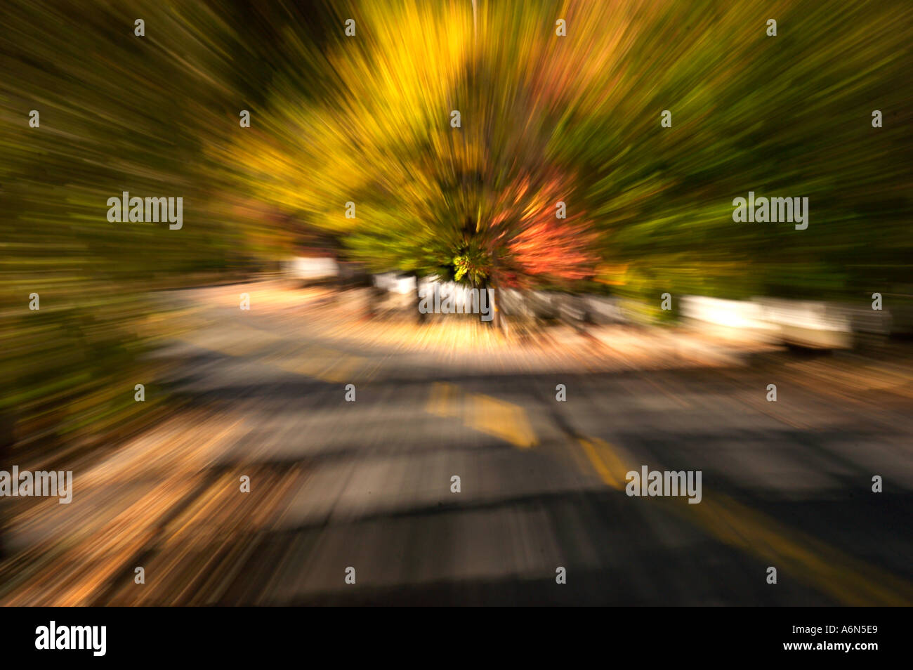 Herbst Straße Stockfoto